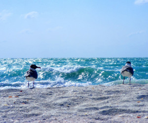 Sanibel Island