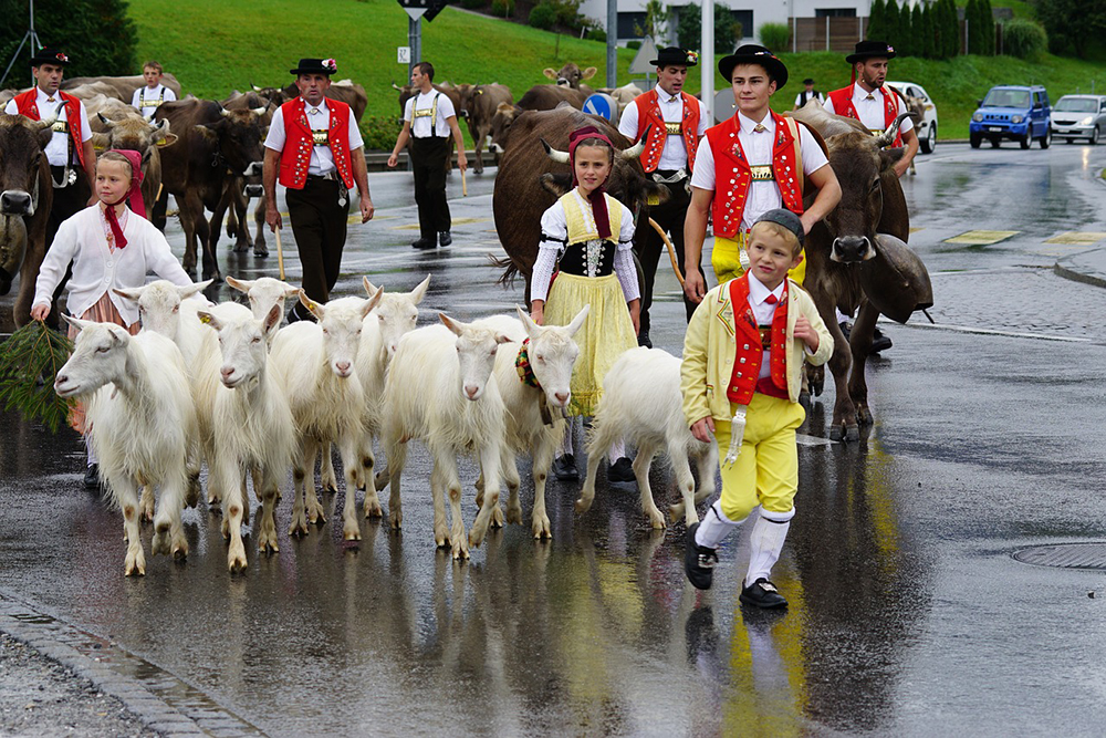 Switzerland Culture